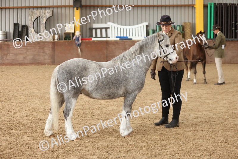 20251109-0633 - Class 22 - Geldings 4 Years and over