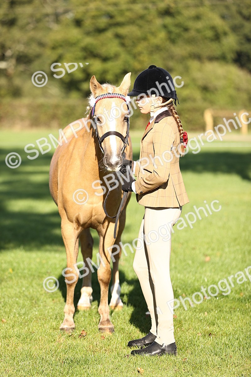 SBM_15812 - S1 - TSR in Hand Horse & Pony Showing