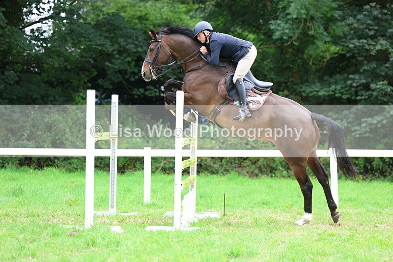 3E7A8576 - Class 8: Senior Foxhunter/1.20m open