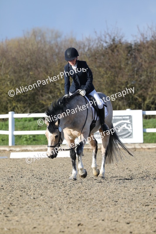 20260314-5852 - DR 7 - Elementary 1