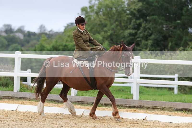0I1A7092 - Class 9: Prelim Freestyle to Music