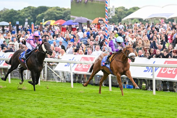 240824-Race 1-See The Fire-0986 - Race 1 1.50pm Sky Bet Strensall Stakes