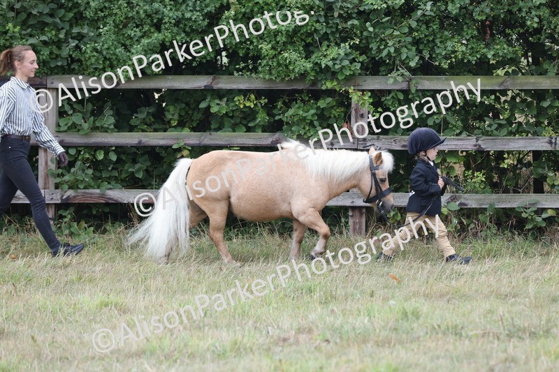 20250831-3020 - Class 23 - Child Handler