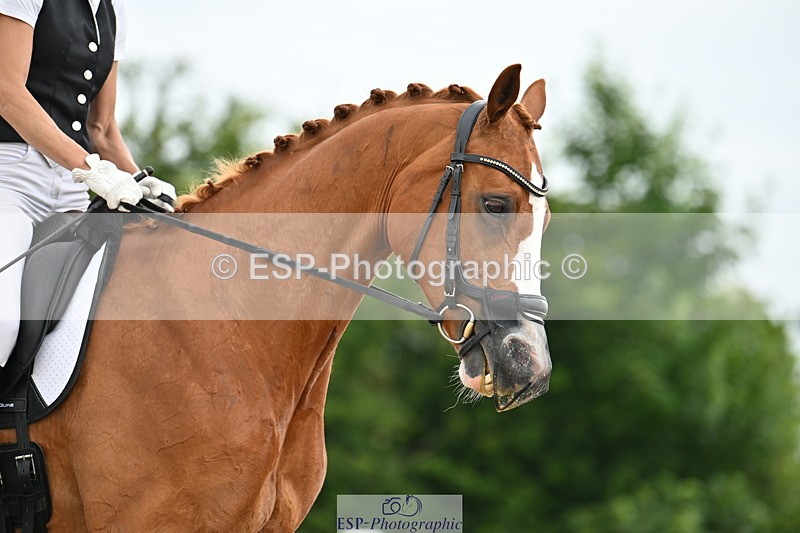 240623A-125607-18093 - Cls 51 BD Elementary 53