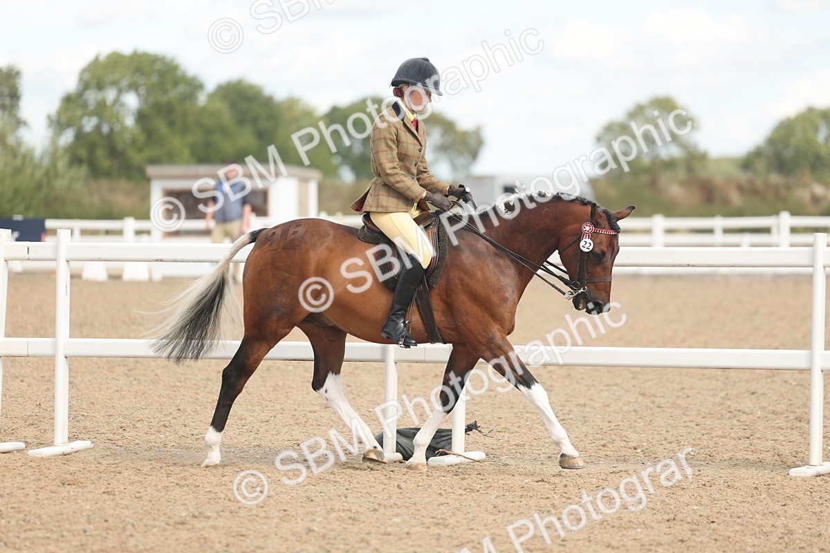 SBM_14629 - Class 307 - Ridden Coloured Pony