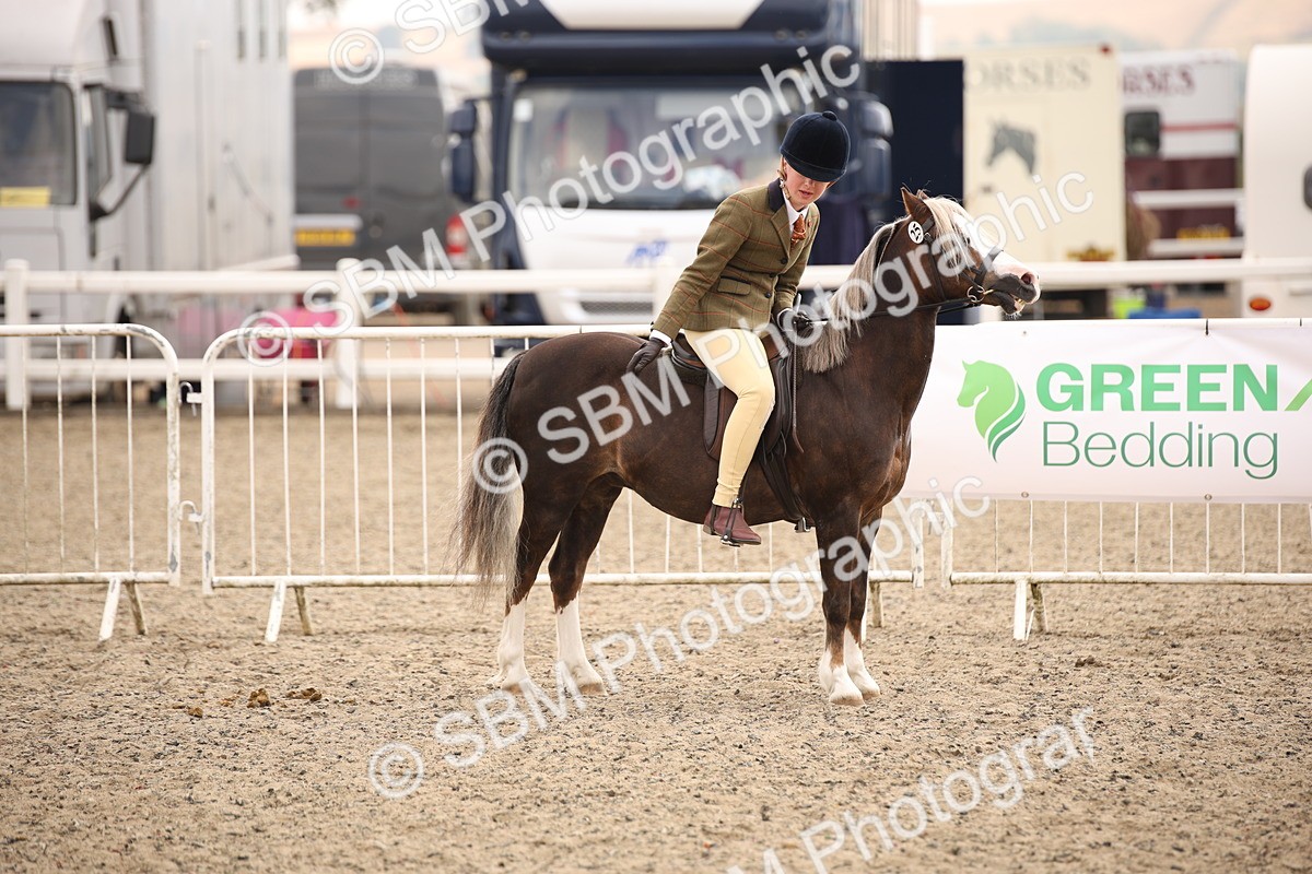 SBM_12583 - Class 405b - M&M Working Veteran 50cm 20+