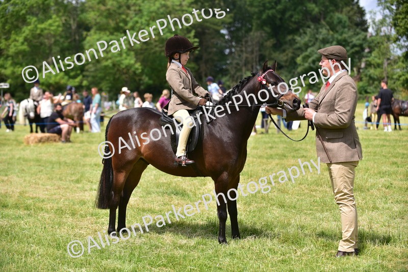 20260614-1378 - Class 11b - Lead Rein Pony (Plaited)
