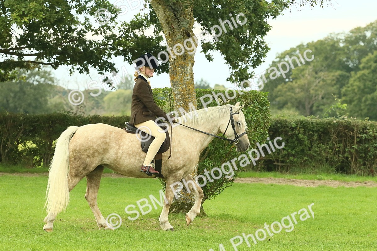 SBM_71825 - S60 - Mountain & Moorland Ridden Large Breeds