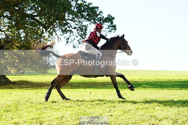 251025A-142242-21010 - G-510-Dan.Andrews