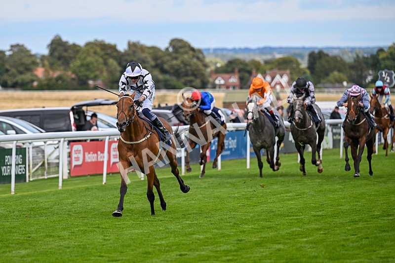 170925-Race 4-Dunkeld Dreamer-4882 - Race 4
