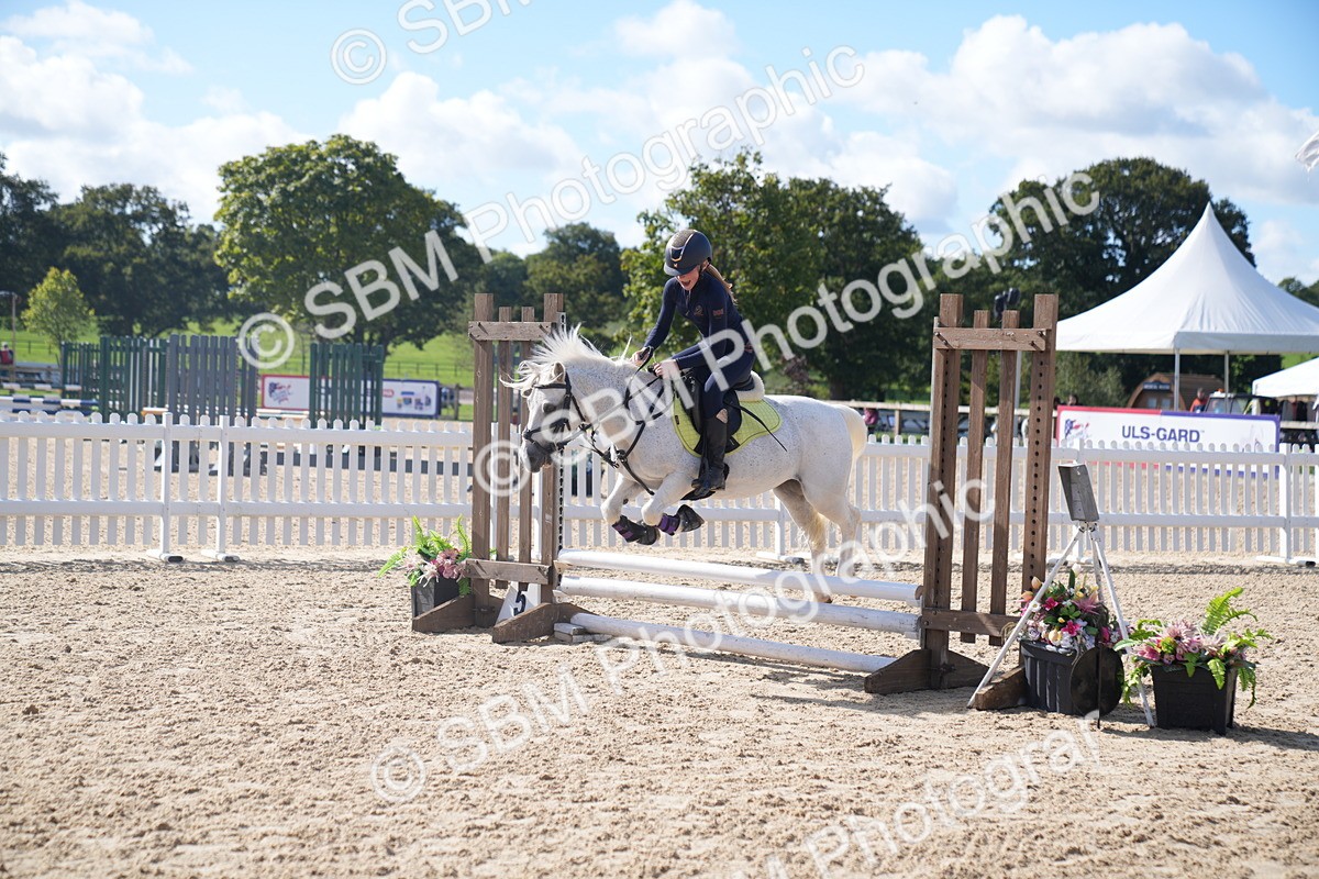 SBM_02504 - J54 Clear Round 45cm