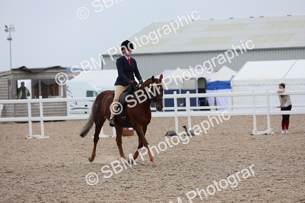 SBM_18104 - Class 316 Best Pony/Rider Combination