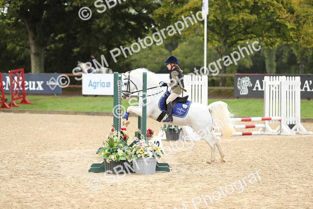 SBM_34198 - J60 Clear Round 50cm