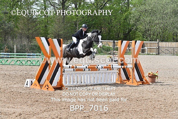 BPP_7016 - CLASS 5 FRI Veterans Show Jumping