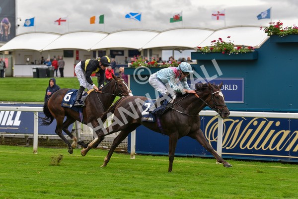 131023-Race 2-Lordship-9202 - Race 2 2.40pm William Hill Finale Handicap