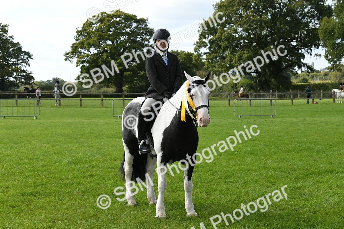 SBM_47269 - S12 - Family Horse & Pony