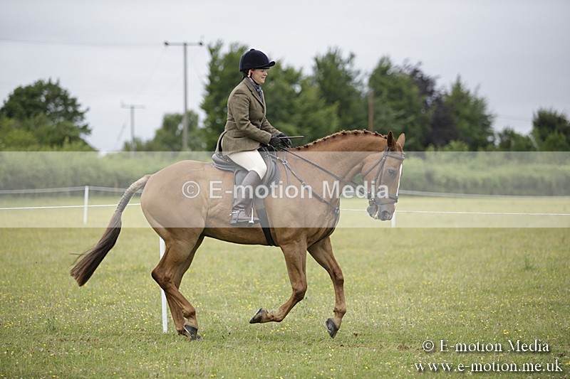 BVR160717-772 - Ring 1 BVRC Show 16/07/17