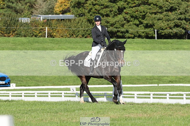 251024A-110113-07932 - D-350-Katie.Timberlake