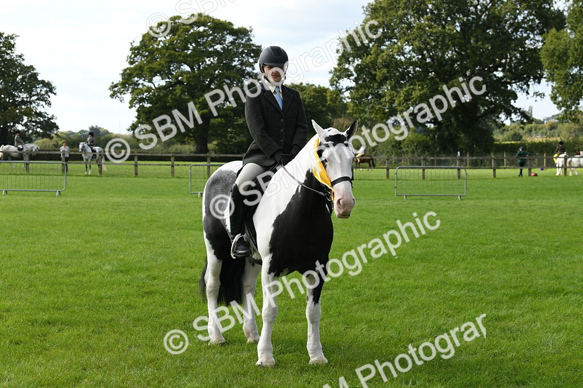 SBM_47271 - S12 - Family Horse & Pony