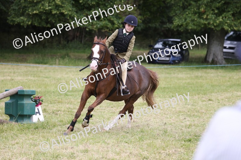 20260614-3026 - Class 22 - Open Working Hunter