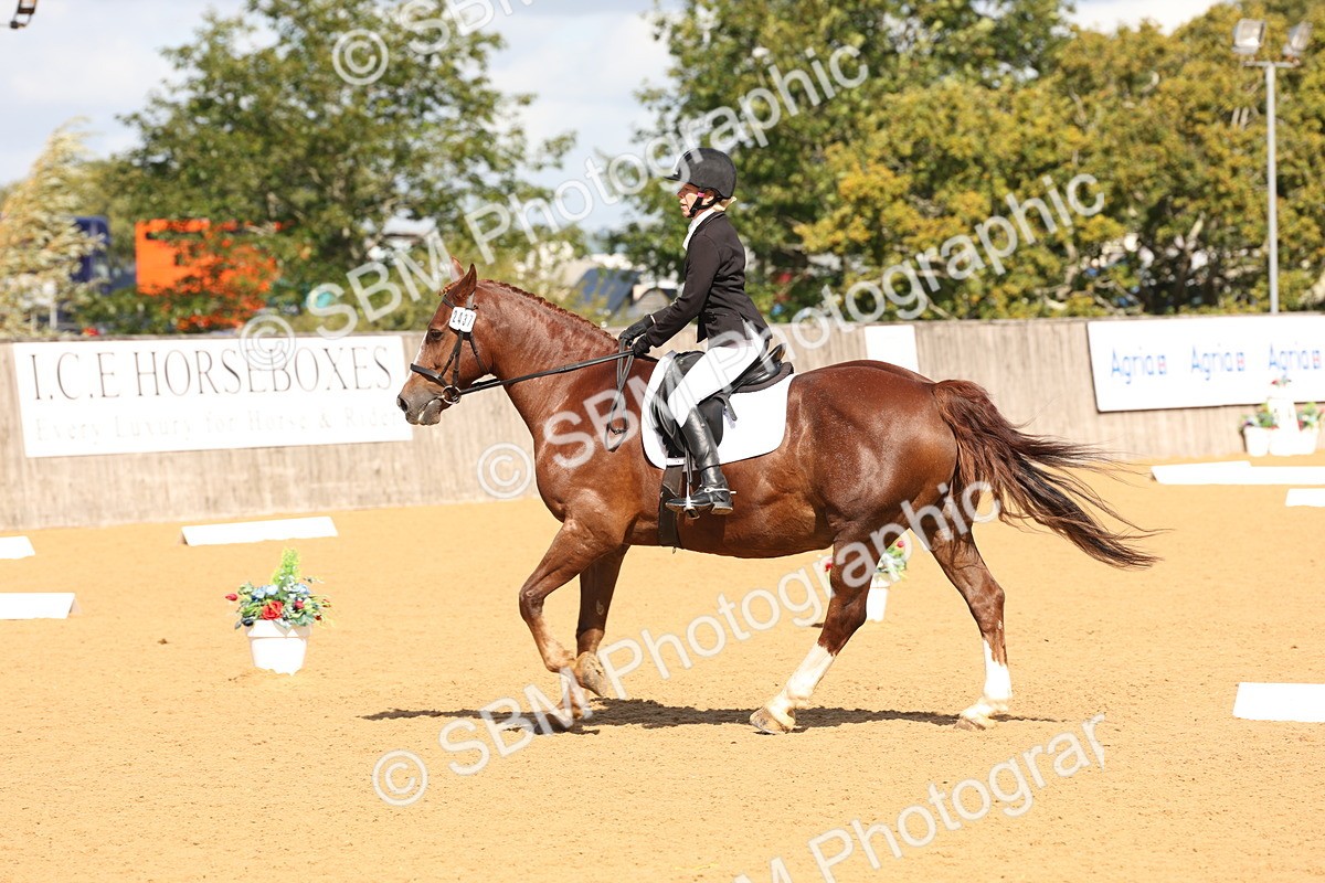 SBM_02285 - D10 - Small Tour Championship Prelim 2