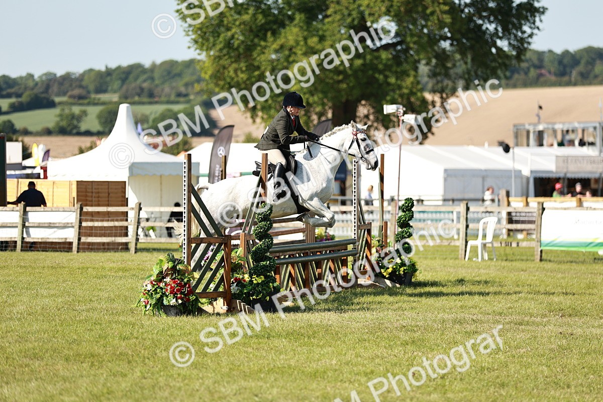 SBM_19200 - Class 115-116 - LIHS BSHA Rising Star Working Hunter & Show Horse