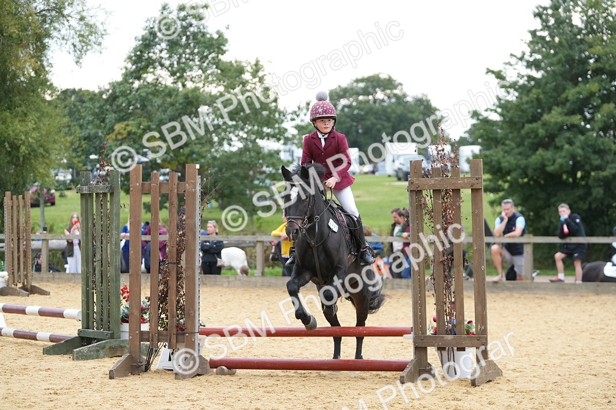 SBM_74571 - J4 - Mini Tour Junior Pony 45cm Championship