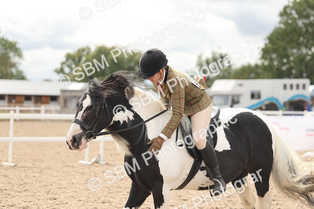SBM_18060 - Class 314 - Family Horse Pony