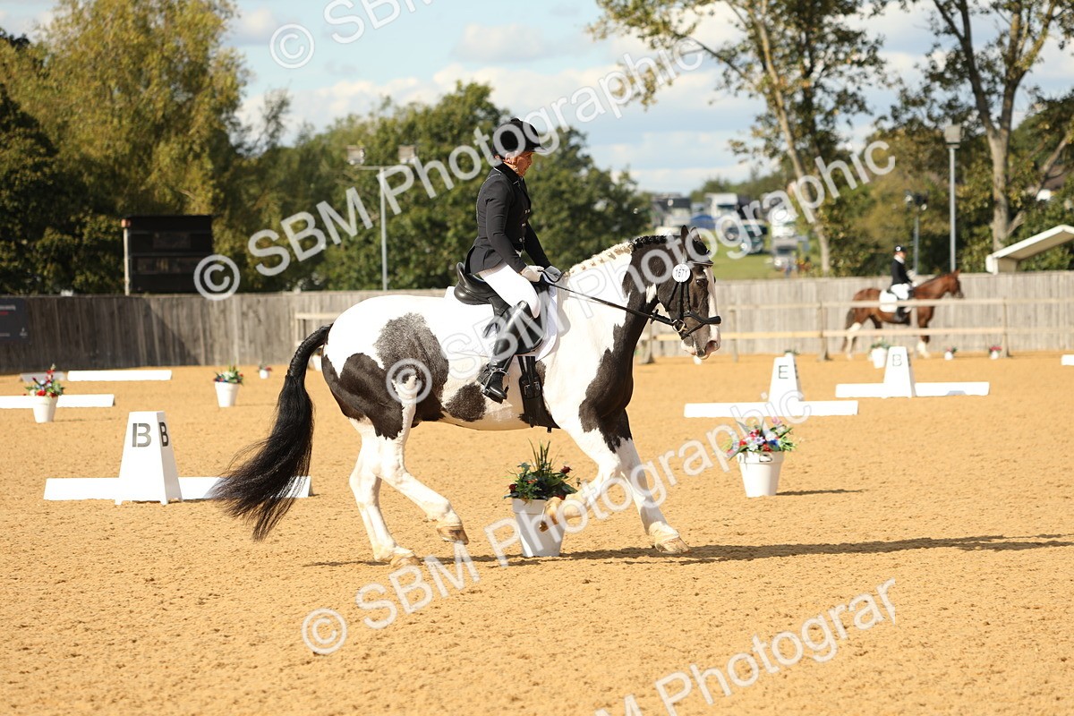 SBM_26704 - D17 - Grand Tour Championship - Novice 27