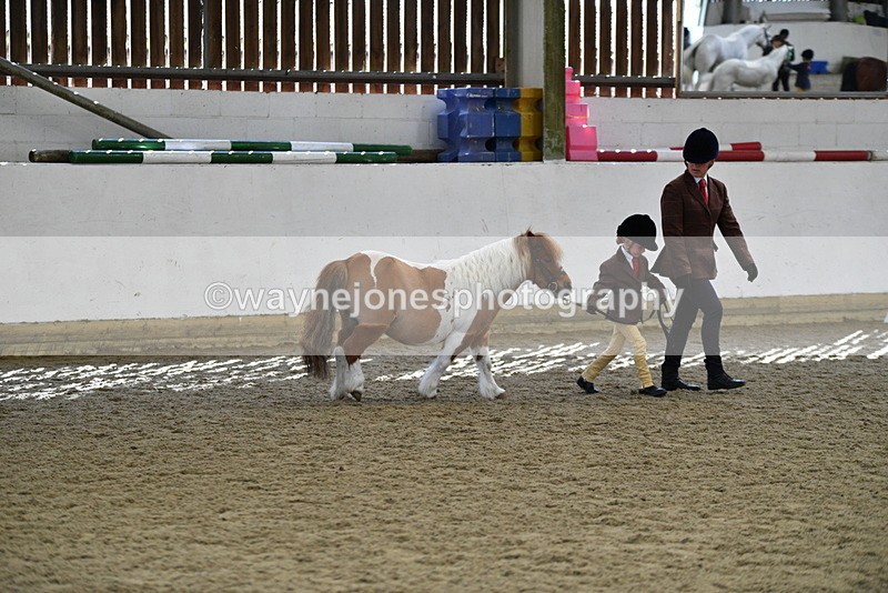 WJ5_4891 - Class 7 In hand coloured / odd coloured