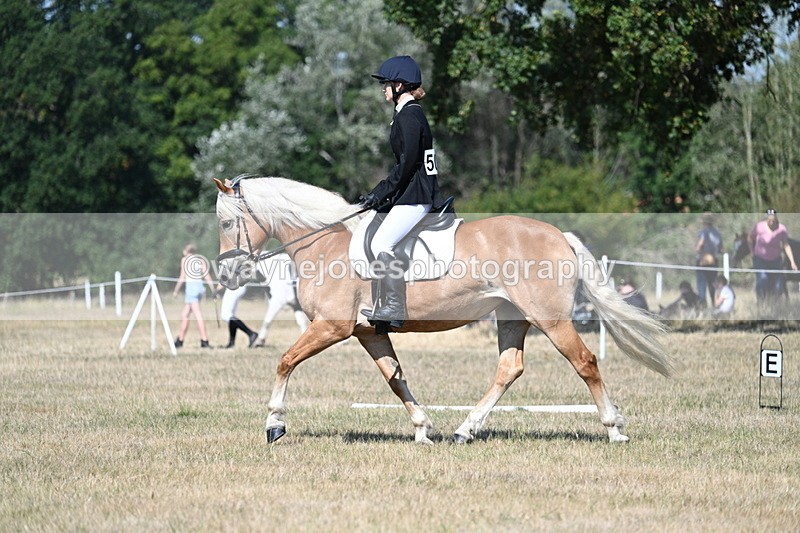 WJ7_0316 - Time 11:33 to 11:44