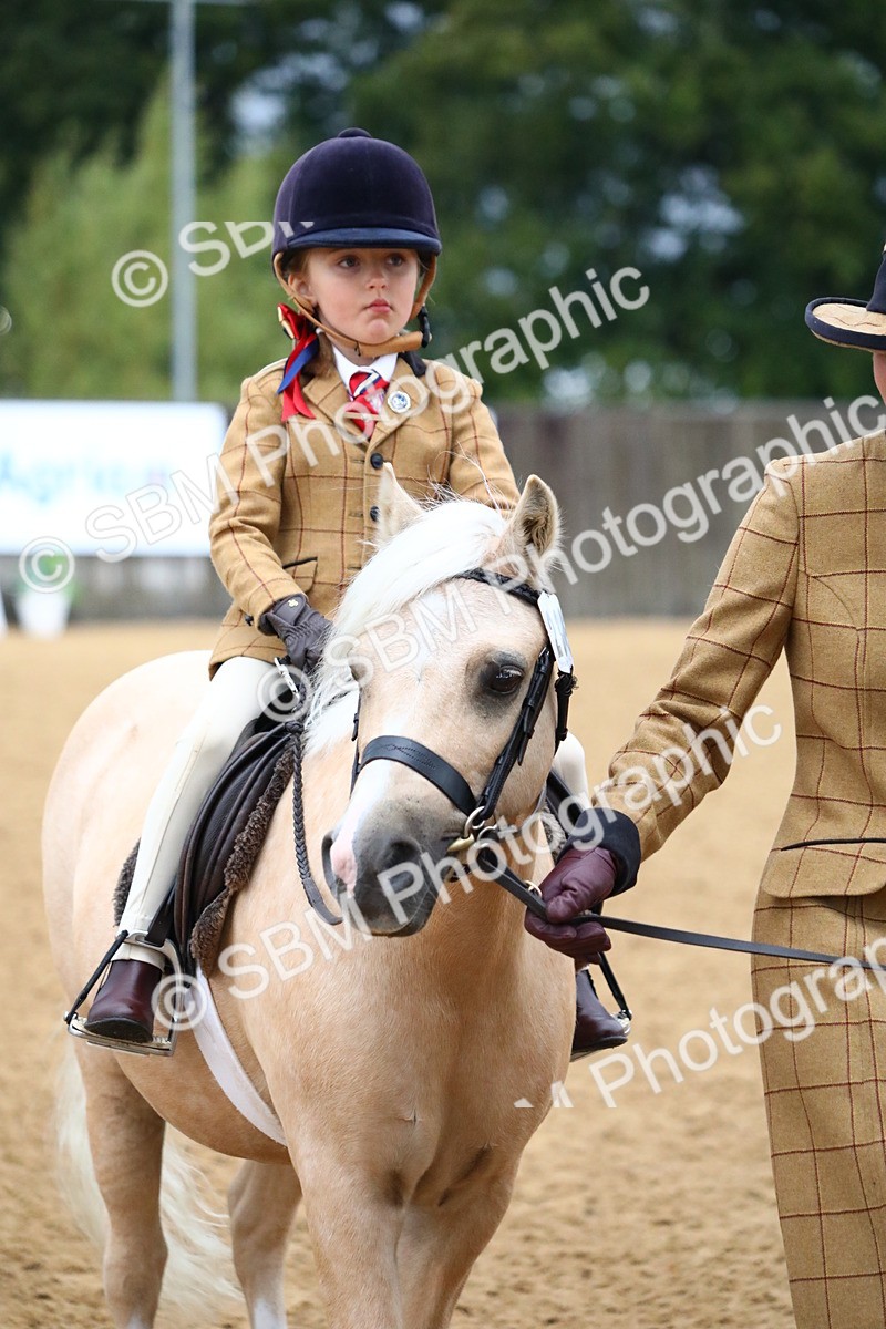 SBM_34573 - D26 - Starters Lead Rein