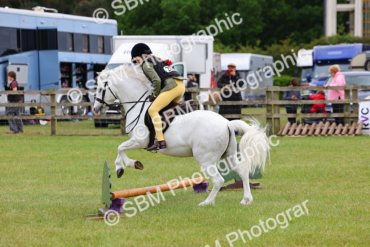 SBM_08756 - Class 42-43 - LIHS BSPS Heritage Working Sports Pony