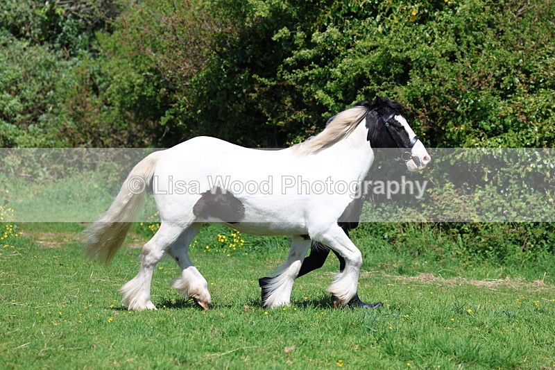 3E7A0260 - Class 19: Best Coloured in Hand