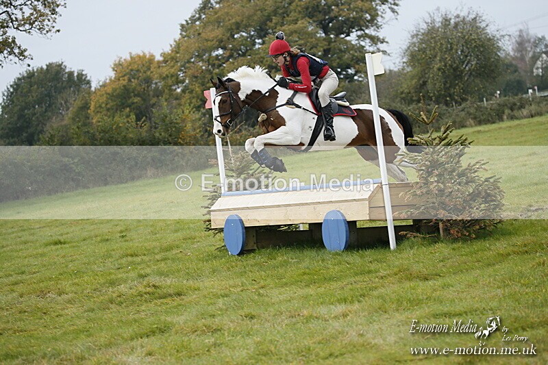 WWHT 181020 WWHT 181020 633 - WWEC Open Novice (0.80m) 18/10/20