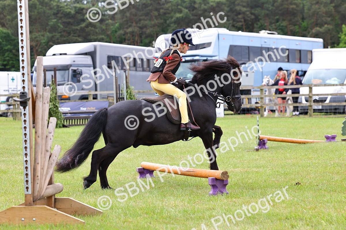 SBM_08676 - Class 42-43 - LIHS BSPS Heritage Working Sports Pony