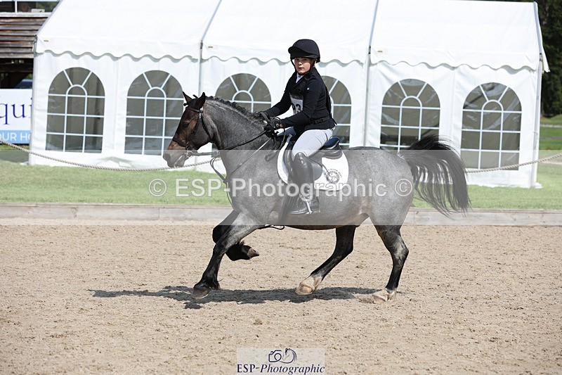 240823X-113713-16462 - 60cm R1 11.30 to 13.30