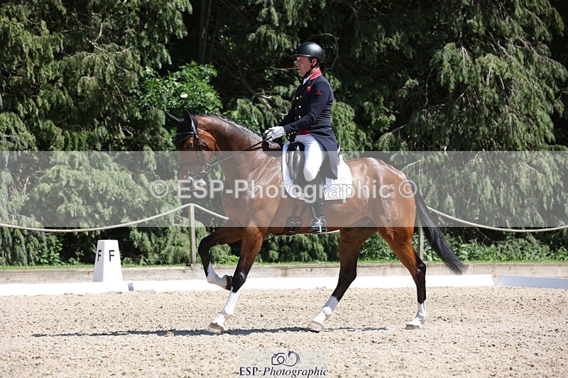 230526-144709-06543 - 375-FINLEY_DU_LOIR-Oliver_Townend-WEDTrotUp+DR