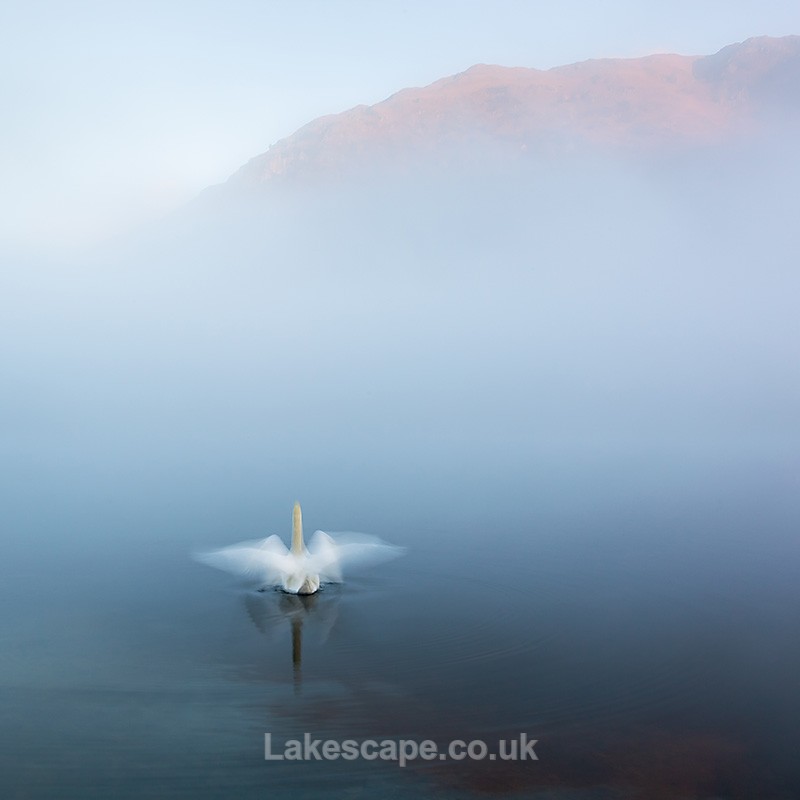 Dawn Display on Rydal Water - Rydal Water