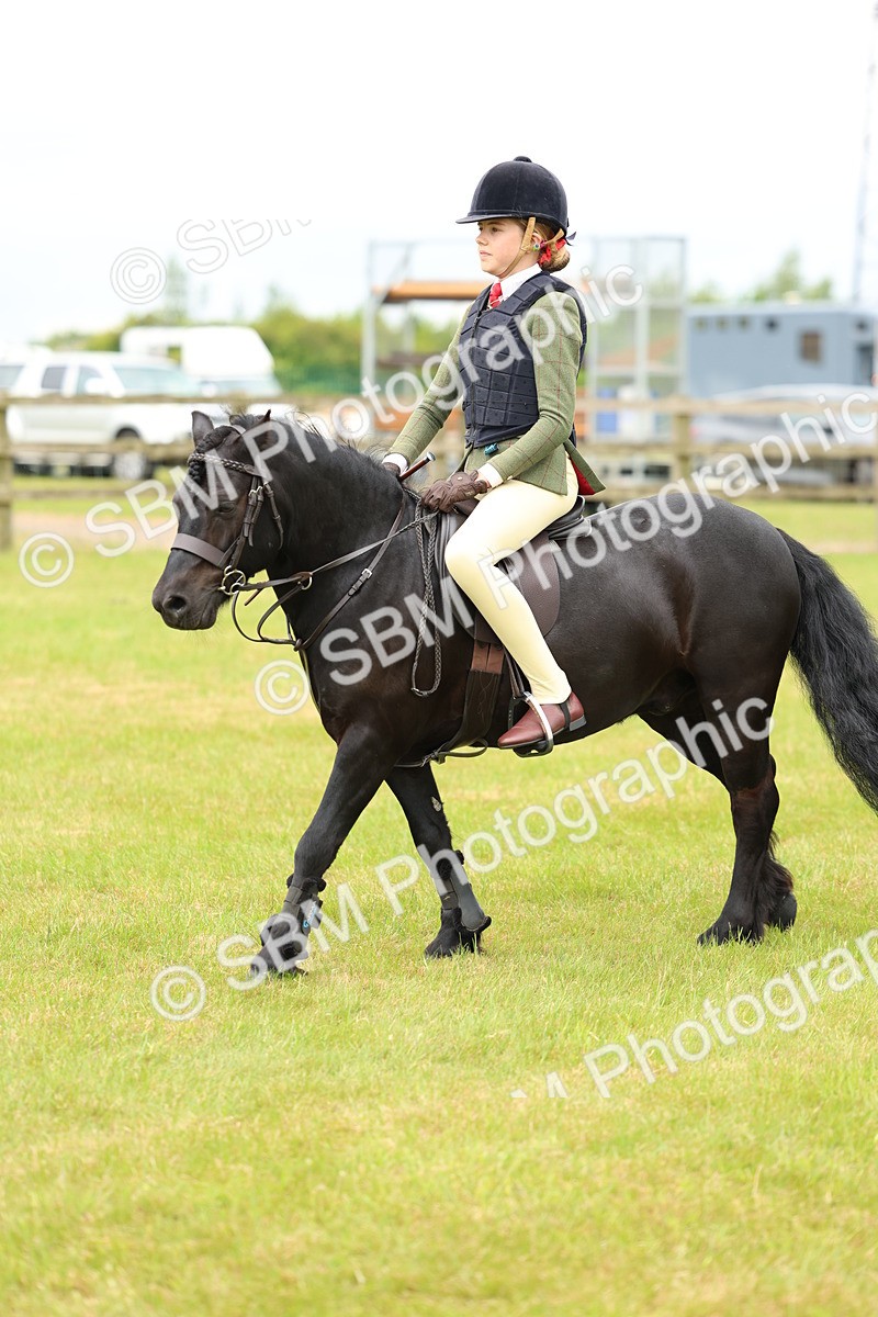 SBM_10318 - Class 44-45 - LIHS BSPS Open Nursery and Cradle Stakes