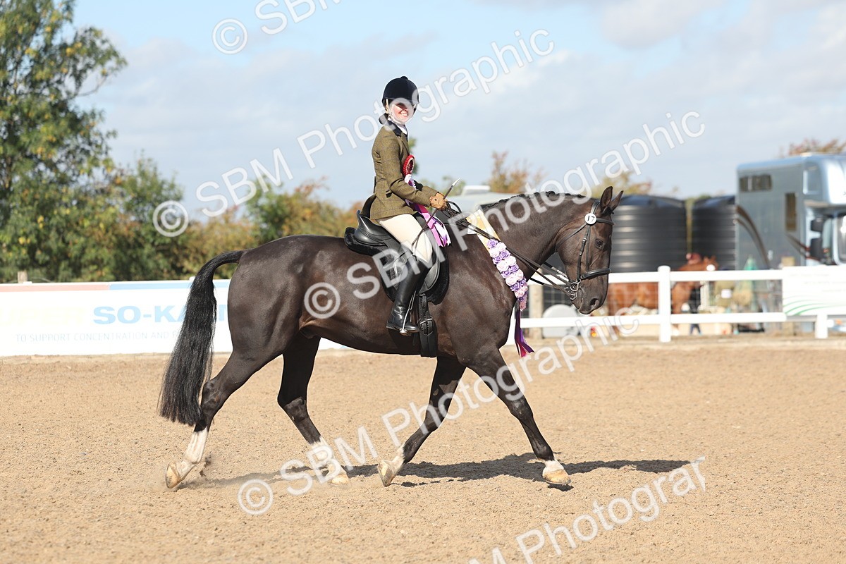 SBM_22697 - Class 805 - Ridden Veteran Horse