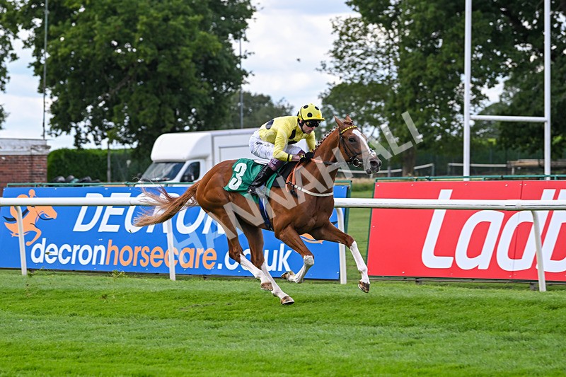 020825-Race 2-Zeus Olympios-2640 - Race 2