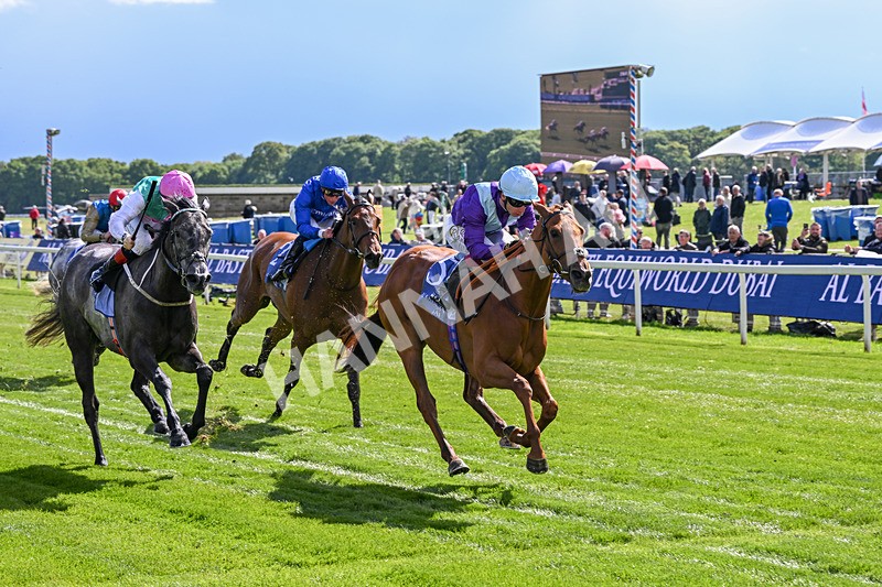 140526-Race 4-See The Fire-5173 - Race 4 3.30pm Al Basti Equiworld Dubai Middleton Fillies' Stakes