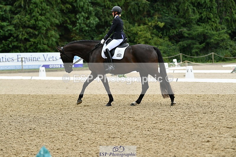 250718A-103639-00201 - 061-Louise.Christie-High.Hoes.Dandelion