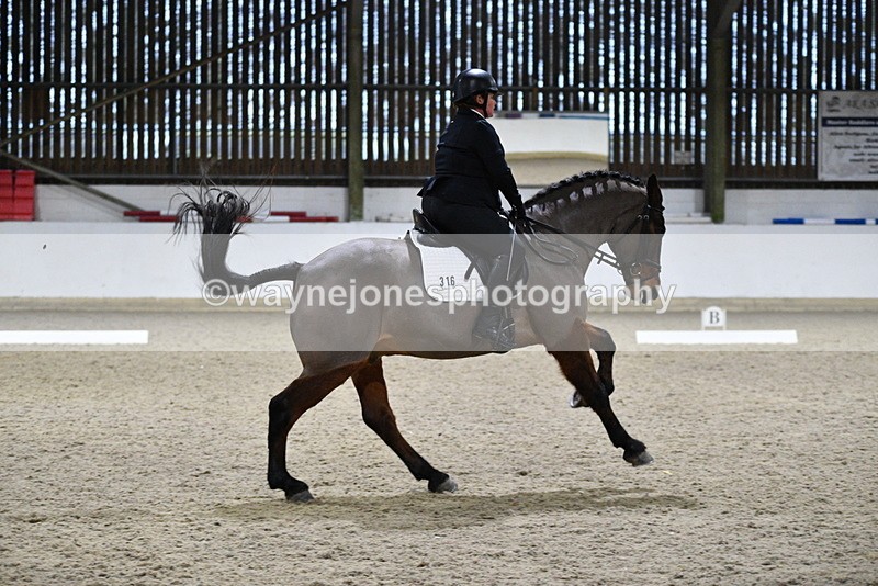 WJ5_0782 - Time 15:31 to 15:50