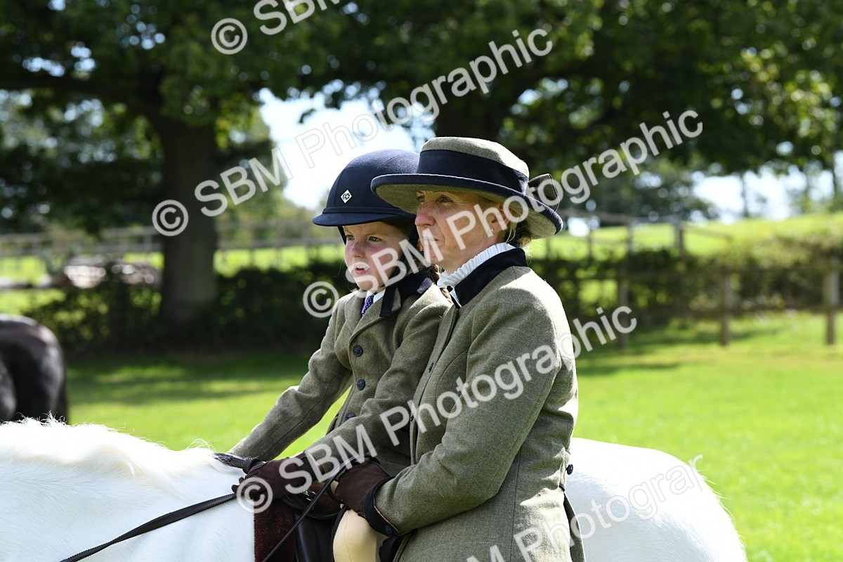SBM_42592 - S20 - Lead Rein Mountain & Moorland Pony