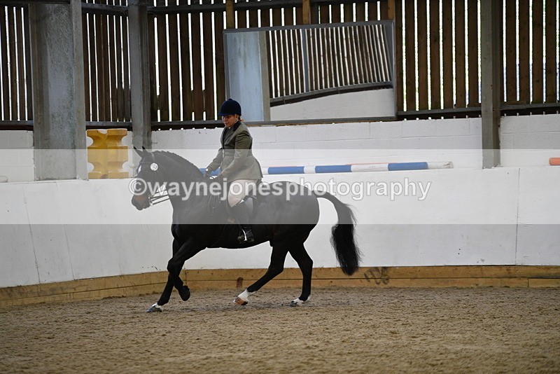 WJ5_6093 - Class 9 Ridden Veteran