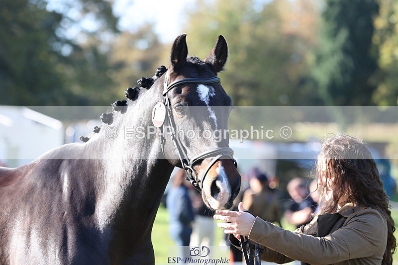 241027-103502-15981 - 521-Rhianna.Ryan-HATTERALL.NEW.YORK