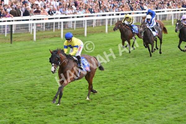 yr20082022r2-40 - Race 2 2.35pm Sky Bet Melrose Stakes