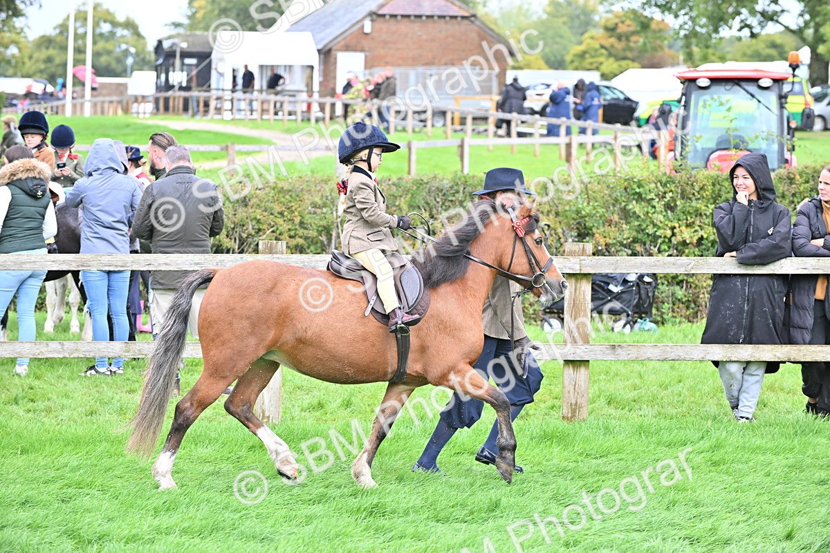 SBM_40125 - S20 - Lead Rein Mountain & Moorland Pony